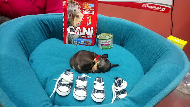 Mundo Animal Vet Quevedo - Asesor de imagen