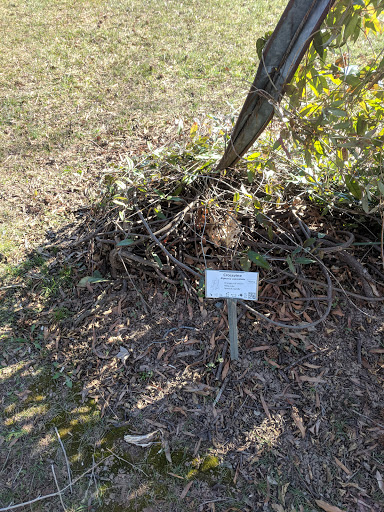 Park «Eugene Simpson Stadium Park», reviews and photos, 426 E Monroe Ave, Alexandria, VA 22301, USA