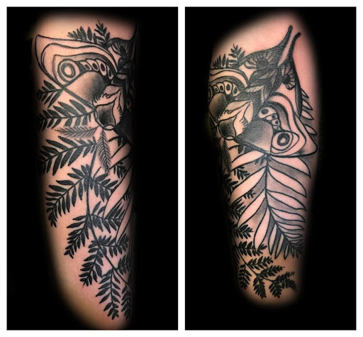 Body Piercing Shop «Alchemy Tattoo & Body Piercing in Tazewell, TN», reviews and photos, 1916 Highway 25 East, Tazewell, TN 37879, USA