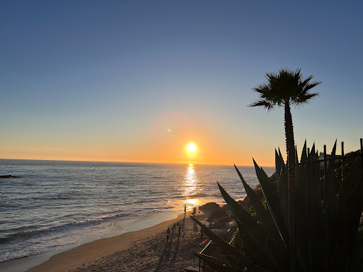 Crystal Cove Shake Shack image
