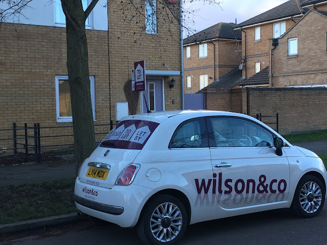 Wilson & Co Homes - Real estate agency
