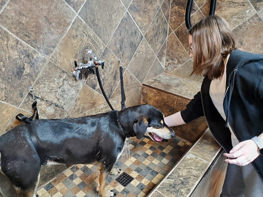 Pet Supply Store «Pet Valu», reviews and photos, 1024 Lititz Pike, Lititz, PA 17543, USA