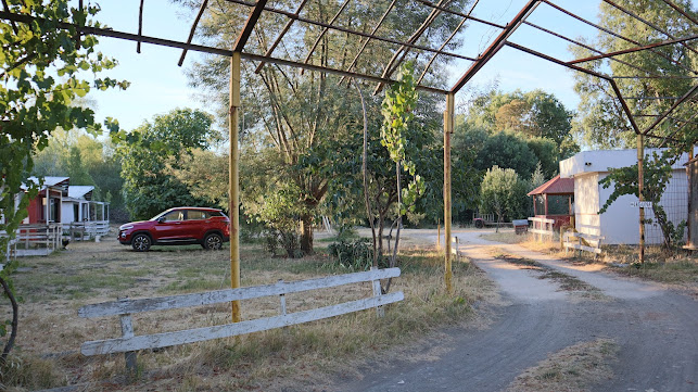Teléfono de Centro Turismo El Castillo
