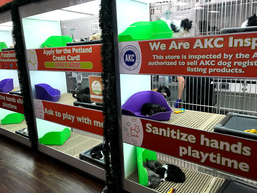 Pet Store «Petland Kennesaw», reviews and photos, 840 Ernest W Barrett Pkwy NW #494, Kennesaw, GA 30144, USA