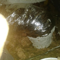 Mr. No Sweat Air Conditioning & Refrigeration Inc. - Photo 8 - Car repair in , St. Petersburg