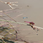 Photo n° 7 de l'avis de Koud.0 fait le 06/07/2020 à 14:29 pour Domaine d'Écoline - site agro-touristique Gironde à Sadirac