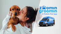 Zoomin Groomin - Car repair in , Greeley - Rated 5.0/5