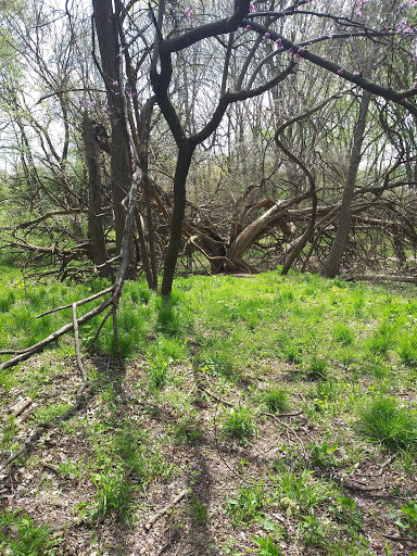 Pet Supply Store «Glenns Valley Feed & Seed», reviews and photos, 8241 Bluff Rd, Indianapolis, IN 46217, USA