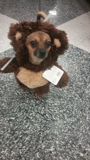 Pet Supply Store «Petco Animal Supplies», reviews and photos, 430 N Euclid St, Anaheim, CA 92801, USA