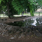 Photo n°11 de l'avis de Maria.r fait le 11/06/2023 à 12:55 sur le  Agriturismo Cascina Gorgia à Orbassano