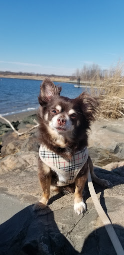 Arena «Madison Square Garden», reviews and photos, 4 Pennsylvania Plaza, New York, NY 10001, USA