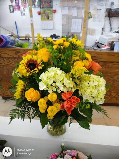 Supermarket «206 Farmers Market Inc», reviews and photos, 626 US-206, Hillsborough Township, NJ 08844, USA