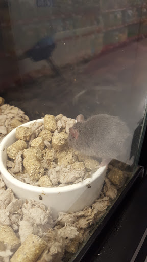 Pet Supply Store «Petco Animal Supplies», reviews and photos, 1970 S Robert St, West St Paul, MN 55118, USA