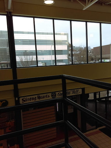 Shopping Mall «Marshall Square Mall», reviews and photos, 720 University Ave #14, Syracuse, NY 13210, USA