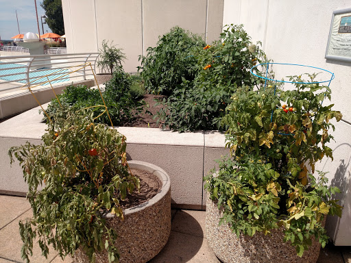 Convention Center «Monona Terrace Community and Convention Center», reviews and photos, 1 John Nolen Dr, Madison, WI 53703, USA