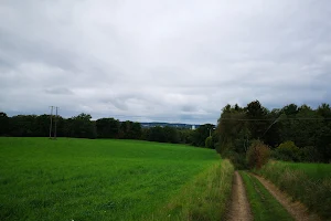 Strömsbergs Naturreservat image