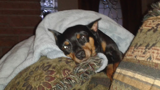 Florist «Higher Power Flowers», reviews and photos, 1080 Holland St, Lakewood, CO 80215, USA