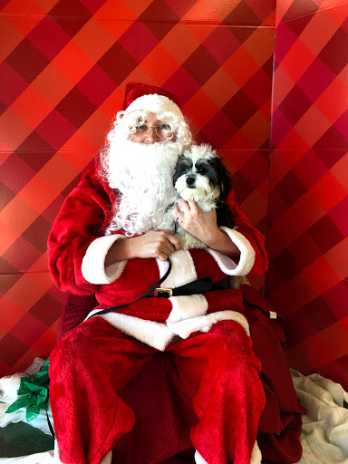 Pet Supply Store «Petco Animal Supplies», reviews and photos, 30697 US Hwy 19 N, Palm Harbor, FL 34684, USA