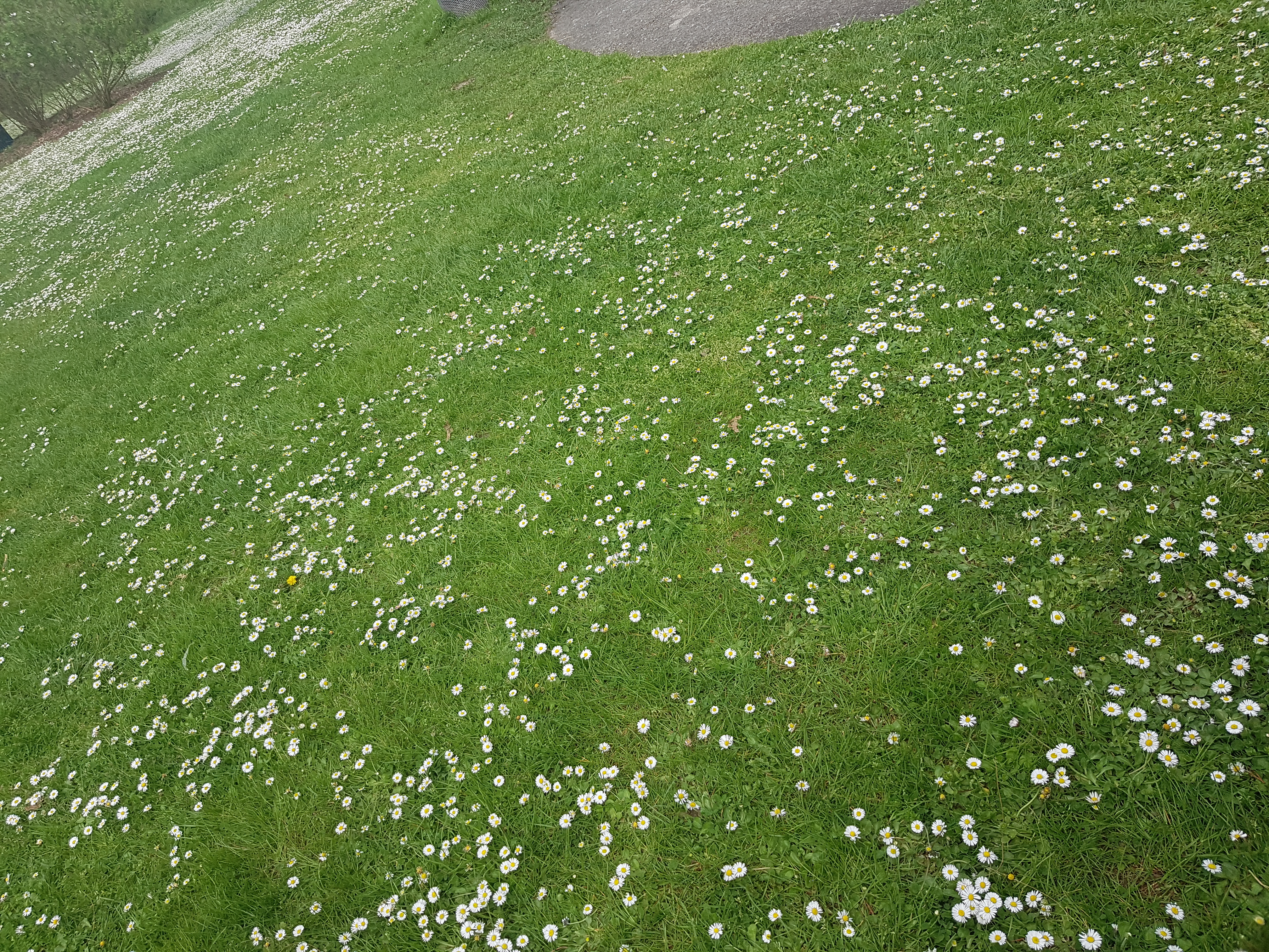 Photo n° 32 de l'avis de Mériame. fait le 16/04/2018 à 15:22