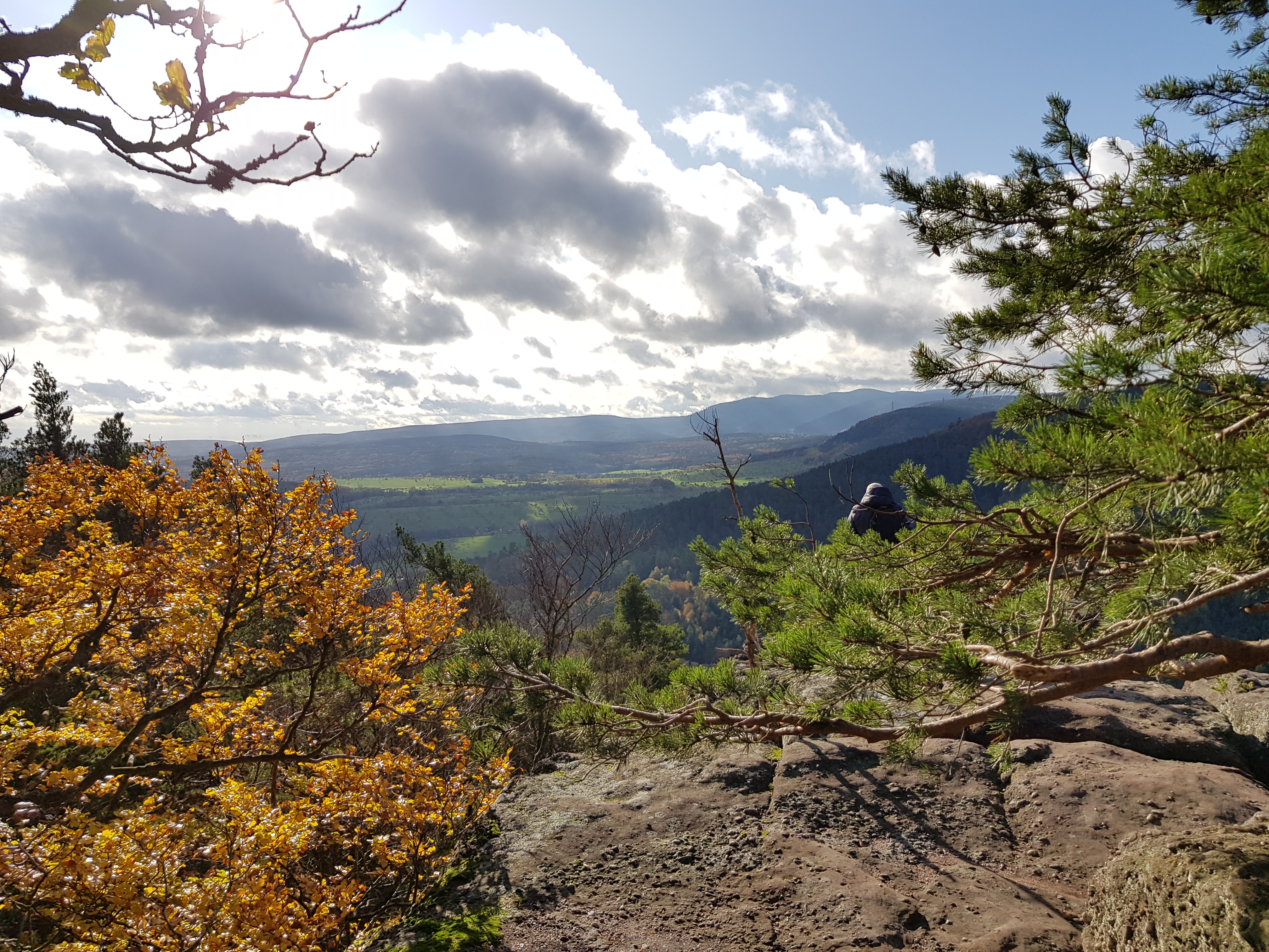 Photo n° 19 de l'avis de Roland.c fait le 09/11/2019 à 18:18