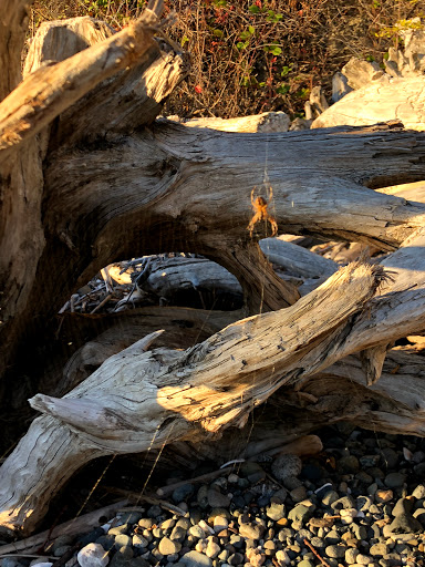 Park «Marine View Park», reviews and photos, 20945 Marine View Dr SW, Normandy Park, WA 98166, USA