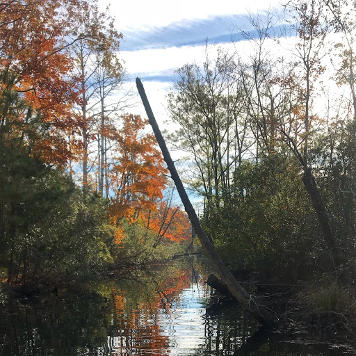 Surf Shop «Surf & Adventure Co.», reviews and photos, 577 Sandbridge Rd, Virginia Beach, VA 23456, USA