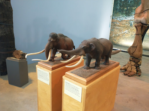 Museum «Museum of the Earth», reviews and photos, 1259 Trumansburg Rd, Ithaca, NY 14850, USA