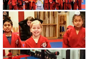 CanAm Karate Newmarket image