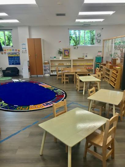 The Montessori School of Washington DC
