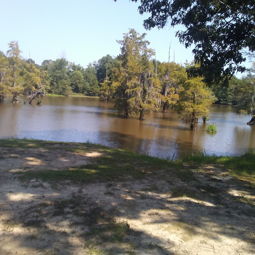 Park «Leake County Water Park», reviews and photos, 1190 Park Rd, Lena, MS 39094, USA