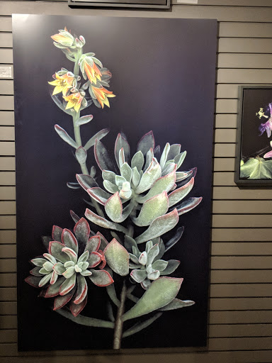 Wine Store «Petter Wine Gallery», reviews and photos, 161 Blue Star Hwy, Douglas, MI 49406, USA