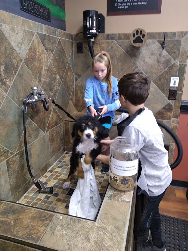 Pet Supply Store «Pet Valu», reviews and photos, 1305 West Seventh Street #28, Frederick, MD 21702, USA