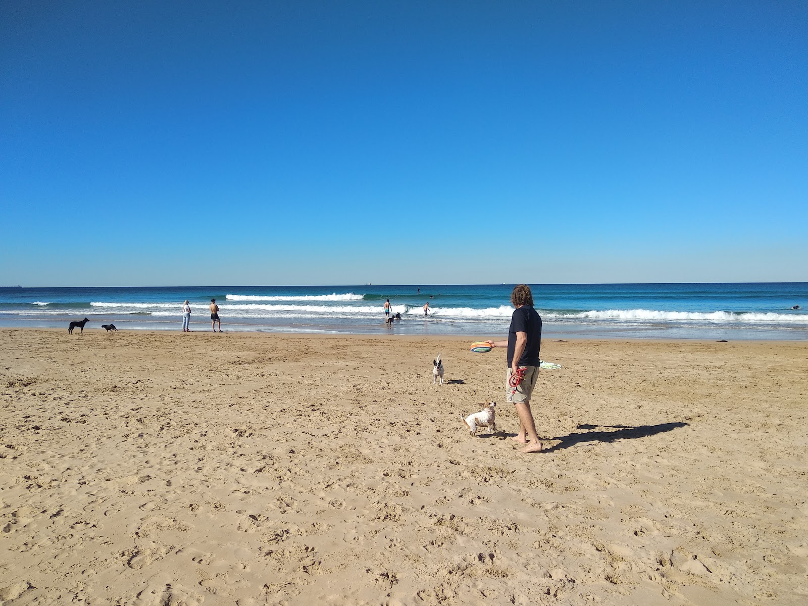 Photo de Corrimal Beach avec rivage droit, long