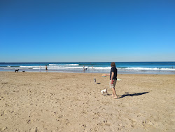 Photo de Corrimal Beach avec rivage droit, long