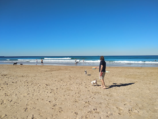 Corrimal Beach