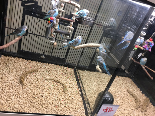 Pet Supply Store «PetSmart», reviews and photos, 13764 W Bell Rd, Surprise, AZ 85374, USA