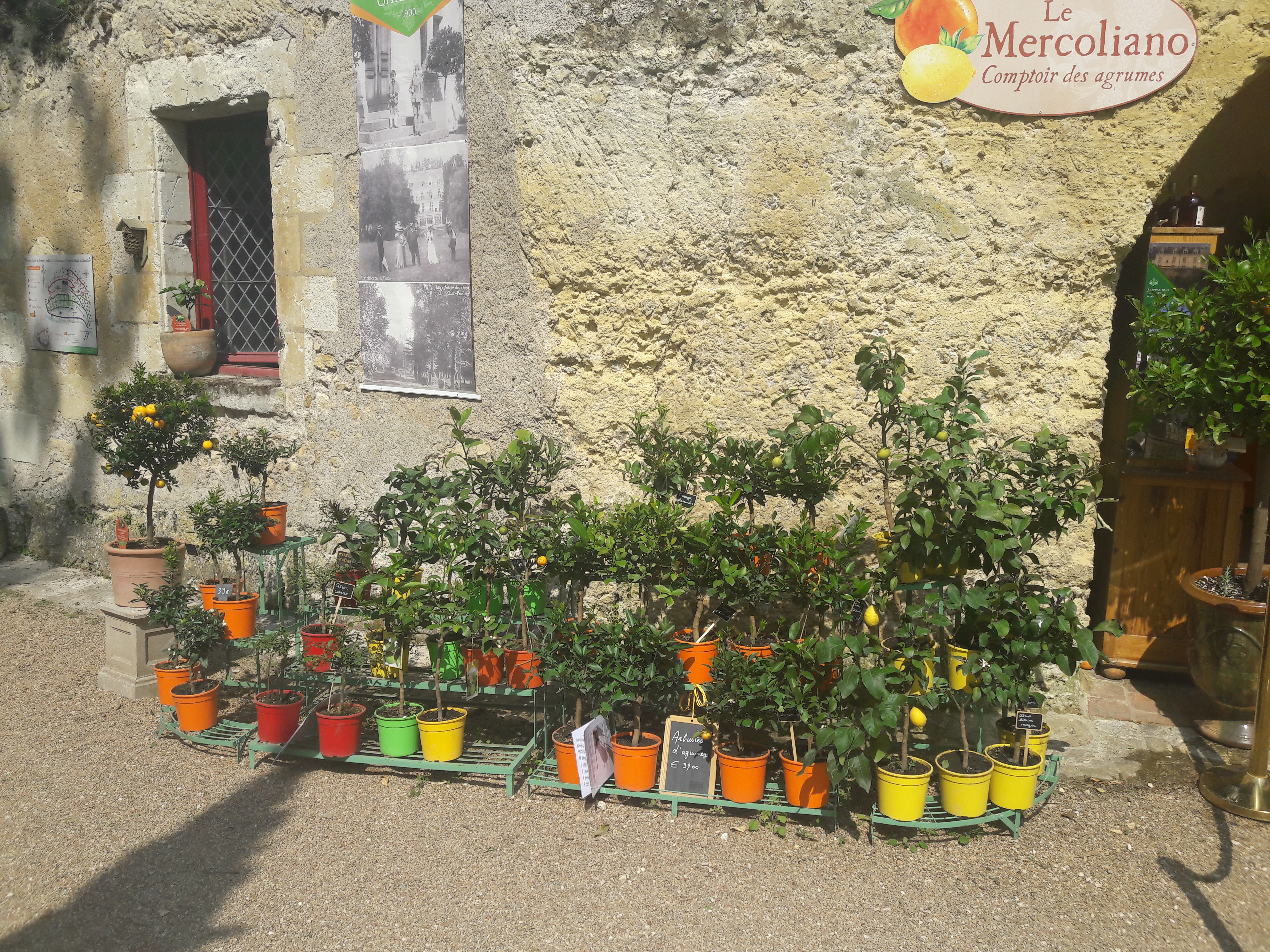 Photo n° 1 de l'avis de Philippe.o fait le 08/05/2022 à 17:07