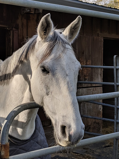 Garrod Farms