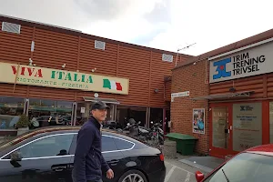 Viva Italia image