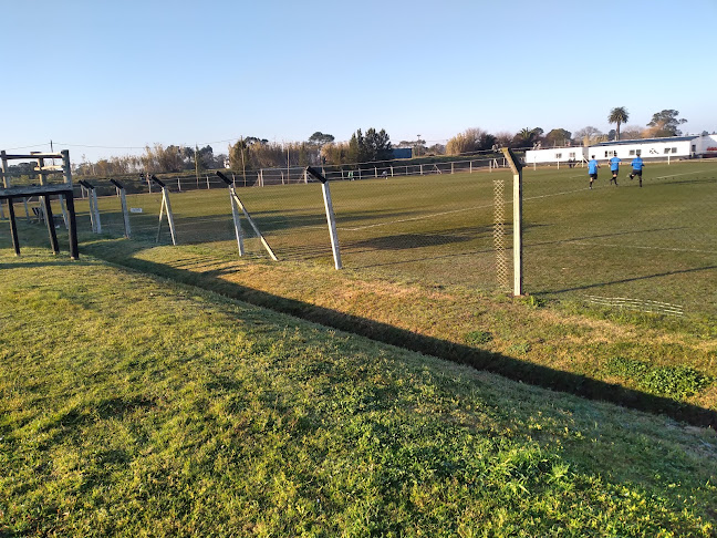 Opiniones de Complejo Deportivo Walter Devoto en Ciudad del Plata - Campo de fútbol