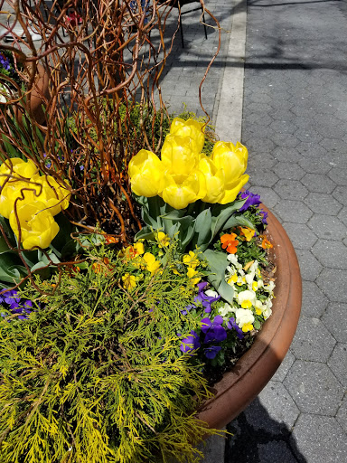 Movie Theater «AMC Loews Lincoln Square 13», reviews and photos, 1998 Broadway, New York, NY 10023, USA