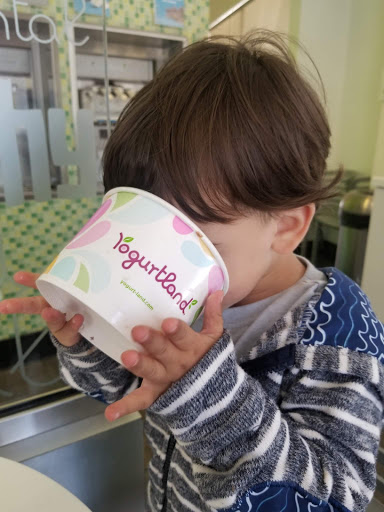 Frozen Yogurt Shop «Yogurtland Costa Mesa- Baker Street», reviews and photos, 1450 Baker St, Costa Mesa, CA 92626, USA