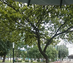 Instituto Nacional de Antropología photo