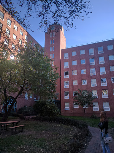 Private University «Pratt Institute», reviews and photos