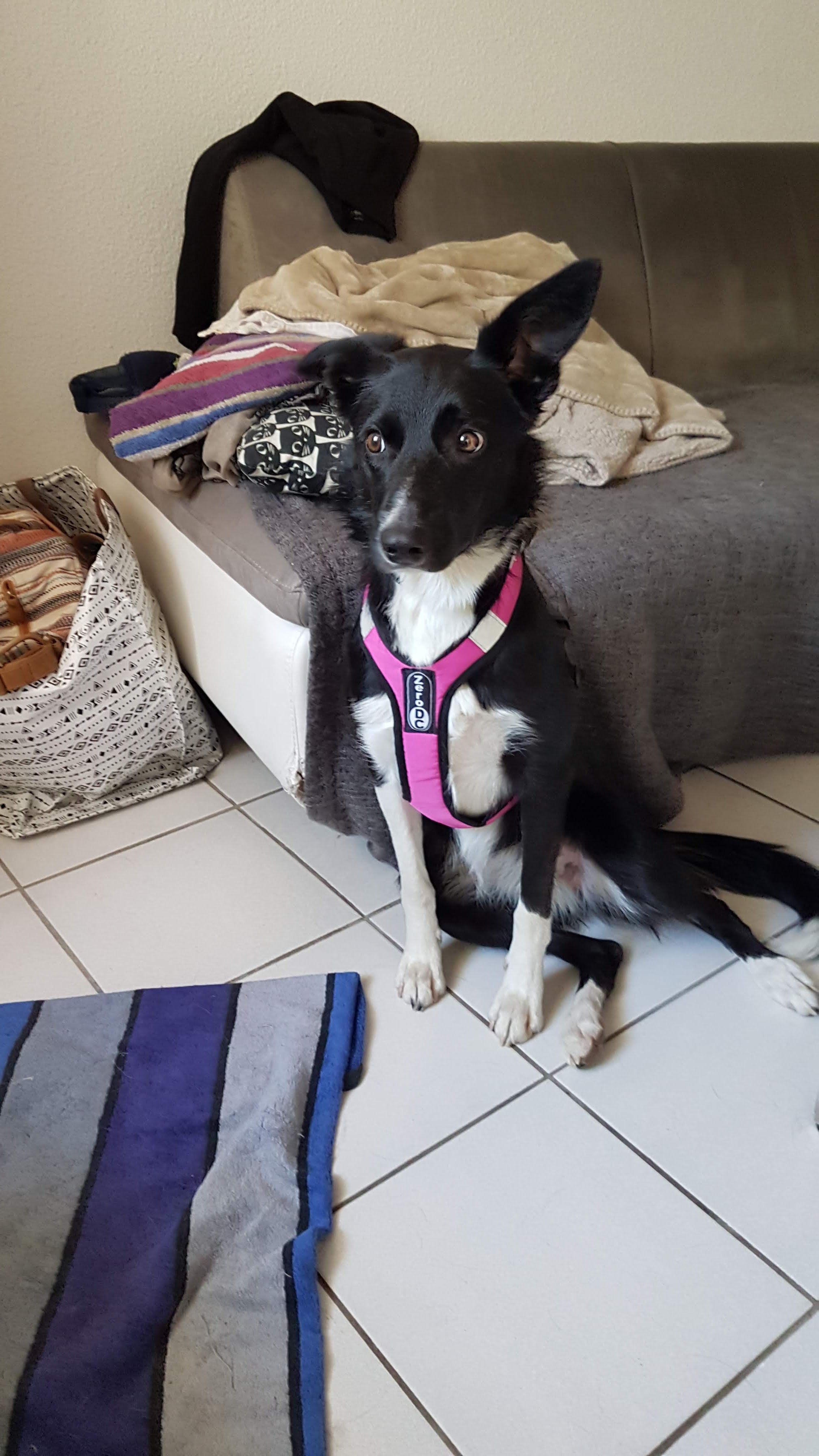 Photo n° 1 de l'avis de Elodie.A fait le 13/06/2019 à 05:22