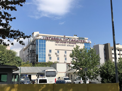 İstanbul Tıp Fakültesi Ek Binası