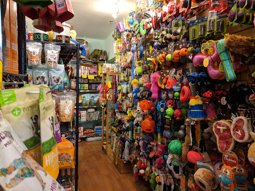 Pet Supply Store «BONeJOUR Pet Supply and Dog Wash», reviews and photos, 53 N 3rd St, Philadelphia, PA 19106, USA