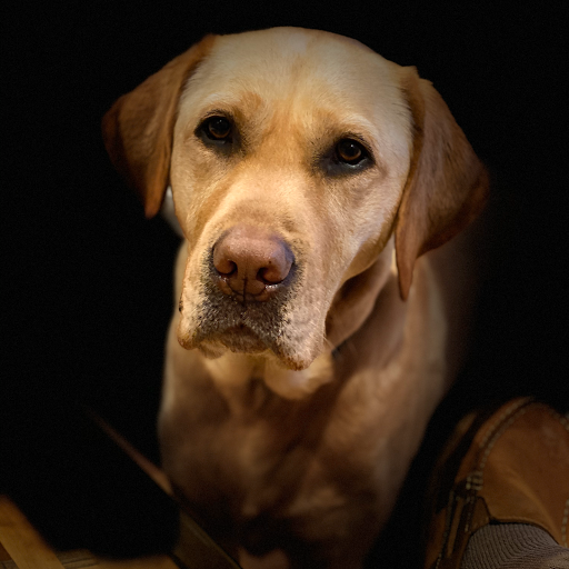 Car Wash «Liberty 24/7 Car Wash», reviews and photos, 6350 S Carroll Park Dr, Eldersburg, MD 21784, USA