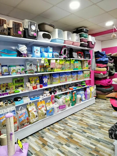 Talys y Su Estrella - Gijón