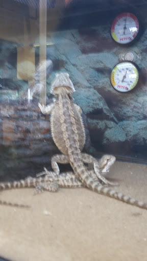 Pet Supply Store «Petco Animal Supplies», reviews and photos, 1215-1309 NJ-33 #1, Hamilton Township, NJ 08690, USA